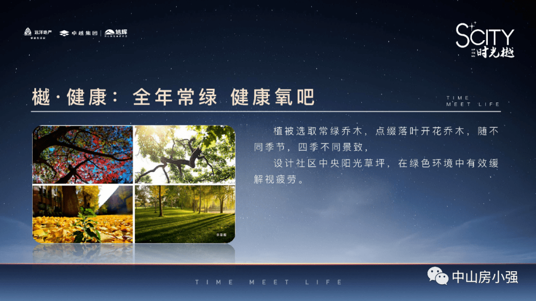 柴油最新价格调整信息及解析