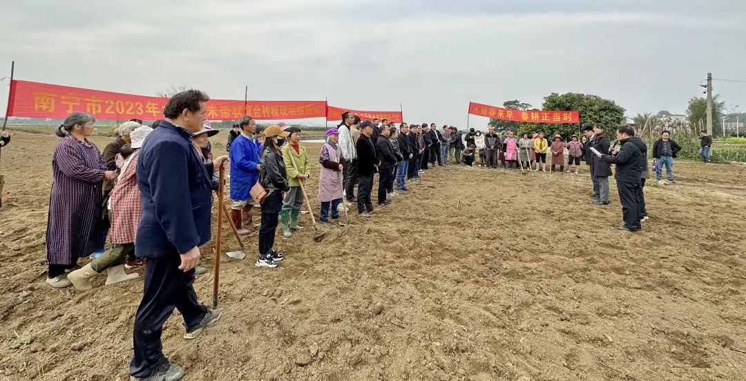 2023年玉米价格最新行情走势分析与预测
