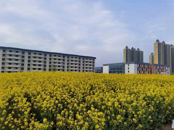 杨凌最新转让信息，探索自然美景之旅，寻觅内心平和之地