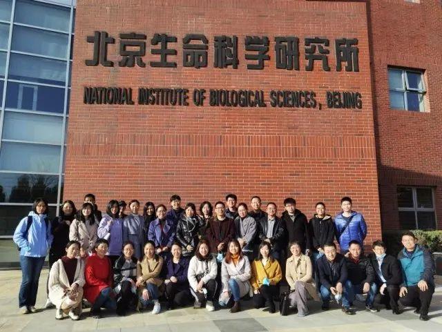朝阳最新科技新闻，引领科技潮流的高科技产品介绍